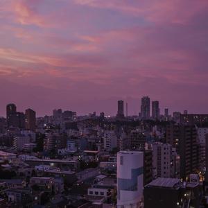 美女大Bxxxxn内射
